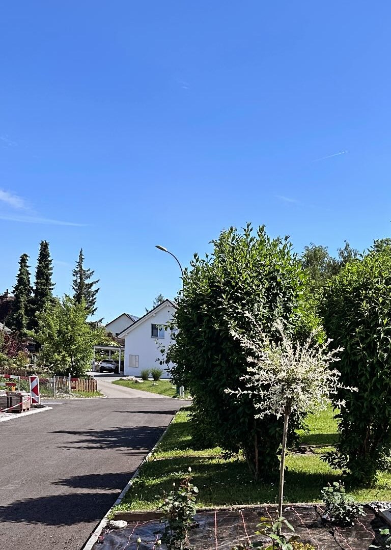 Neu angelegtes Rosenbeet